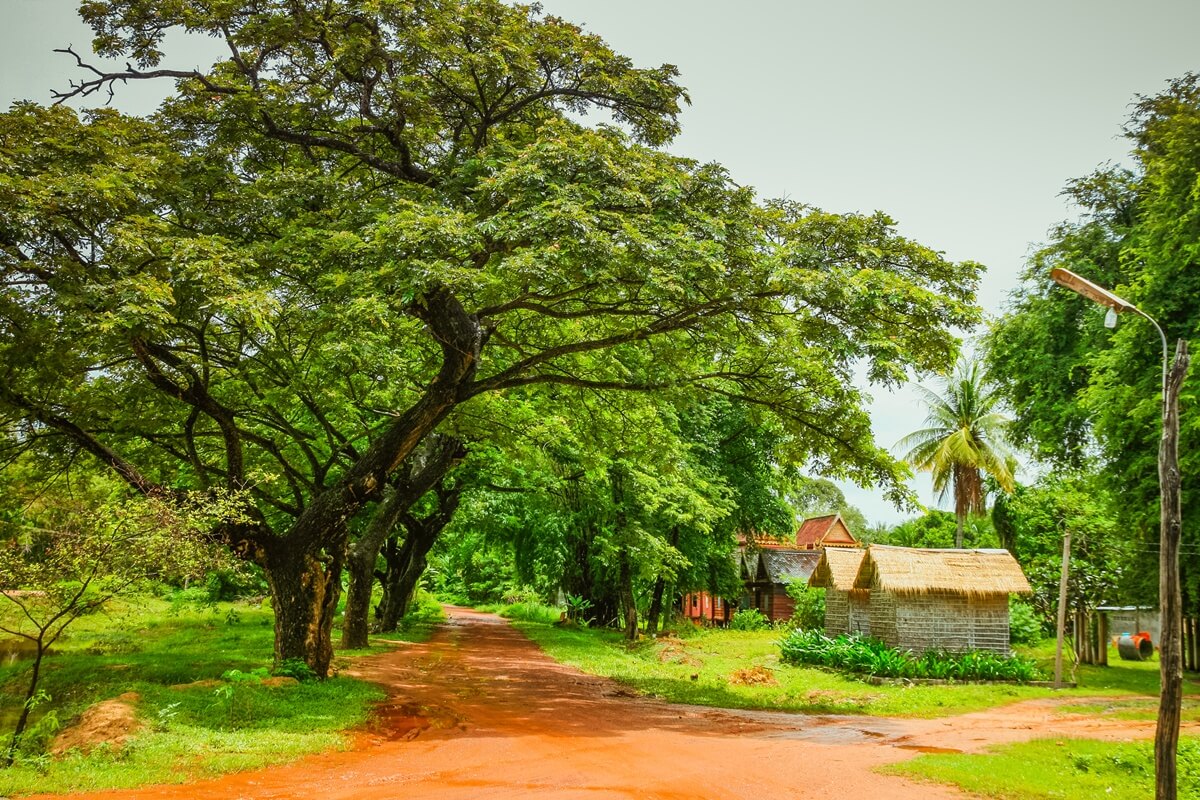 visiter Cambodge : parcs naturels